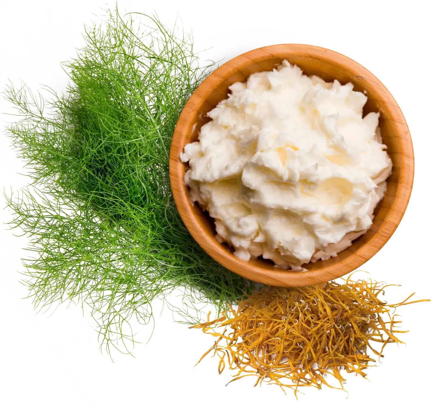 - OLLA BOTANICALS|CBD