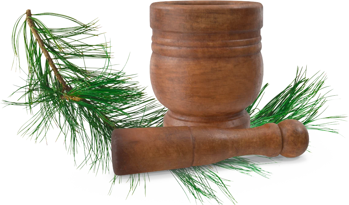 - OLLA BOTANICALS|CBD